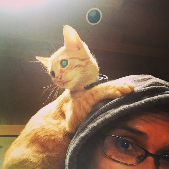 Meet your Posher, Maria - Picture 1 of 1